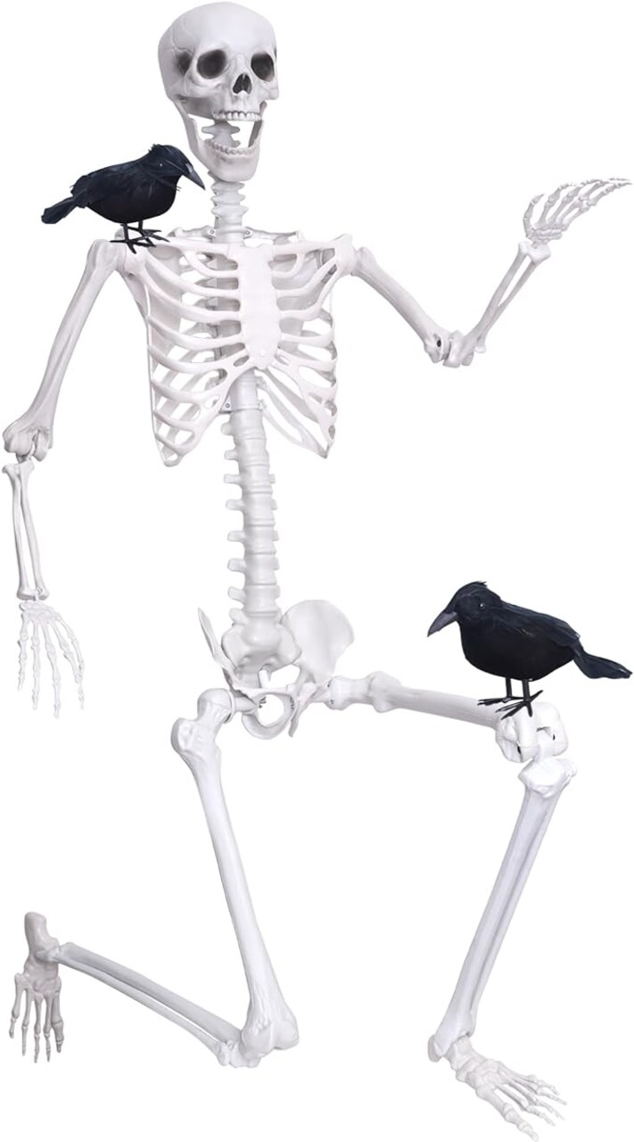 Posable Skeleton with Movable Joints Halloween Full Body Plastic Human Skeletons with 2PCS Black Crows for Halloween Indoor Outdoor Decor